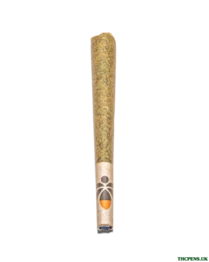 1G-Hashroll_01.webp HASH PRE ROLLS UK