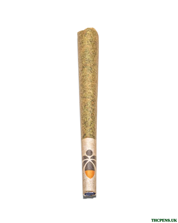 1G-Hashroll_01.webp HASH PRE ROLLS UK