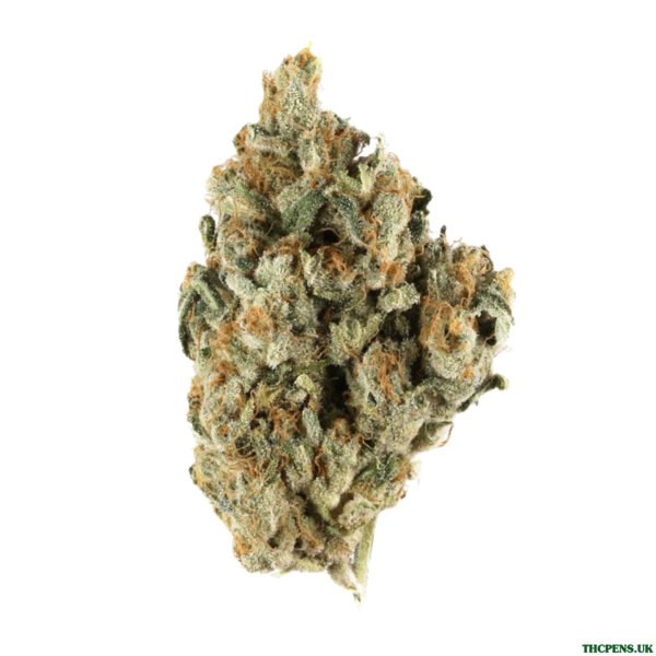 BENJI STRAIN UK