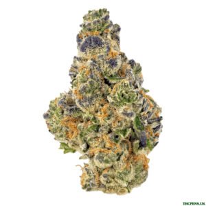 2A98146B-48B1-4F7A-B432-9846B9AAF30F-scaled-1.jpeg PURPLE PUNCH STRAIN UK