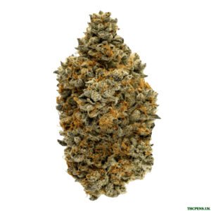 BLUE ZUSHI STRAIN UK