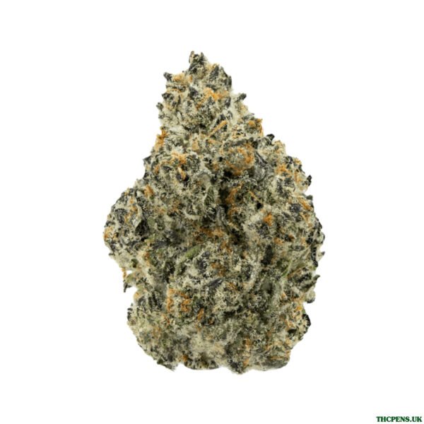 MIMOSA STRAIN UK