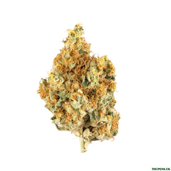 TANGERINE DREAM UK 