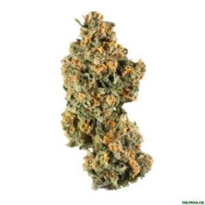 MALIBU STRAIN UK