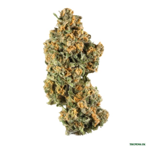 MALIBU STRAIN UK