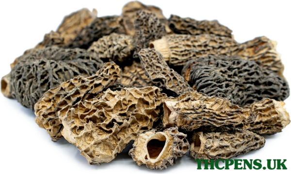 MOREL DRIED MUSHROOM UK