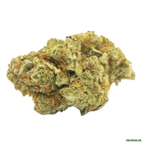 GASFACE OG STRAIN UK