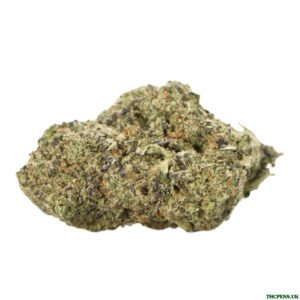 RUNTZ STRAIN UK