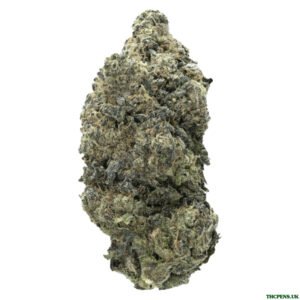 STARDAWG STRAIN UK