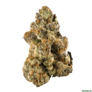 OG KUSH STRAIN UK