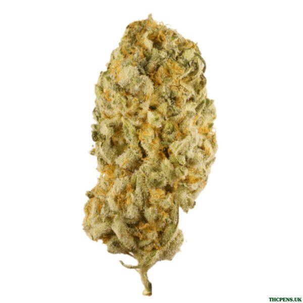 SUPER SILVER HAZE UK