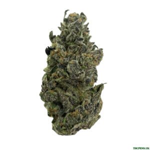 CFD3AFFA-D432-497F-AF70-AC7A73B40DED-scaled-1.jpeg NORTHERN LIGHTS STRAIN UK