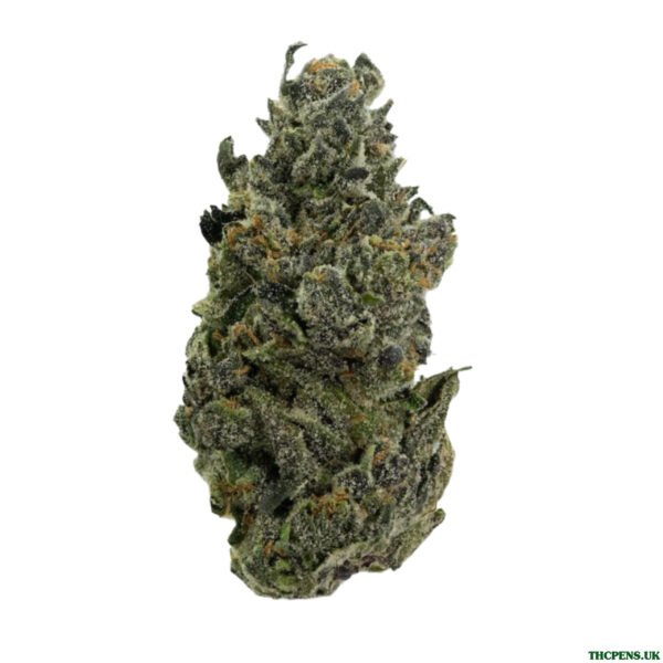 NORTHERN LIGHTS STRAIN UK