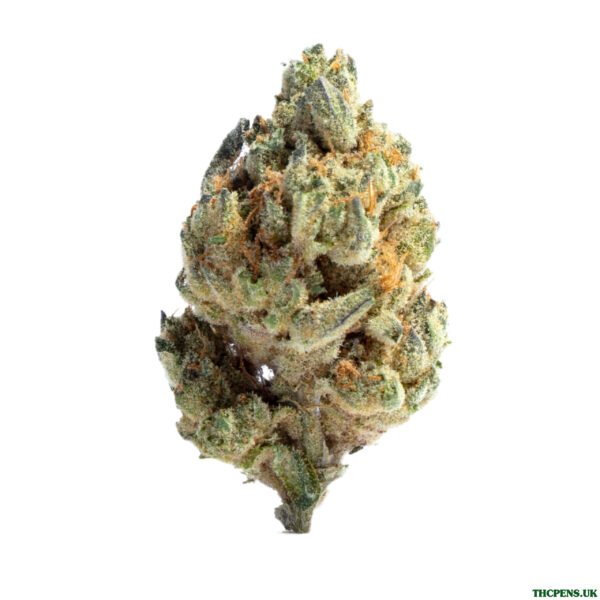 GELATO STRAIN UK
