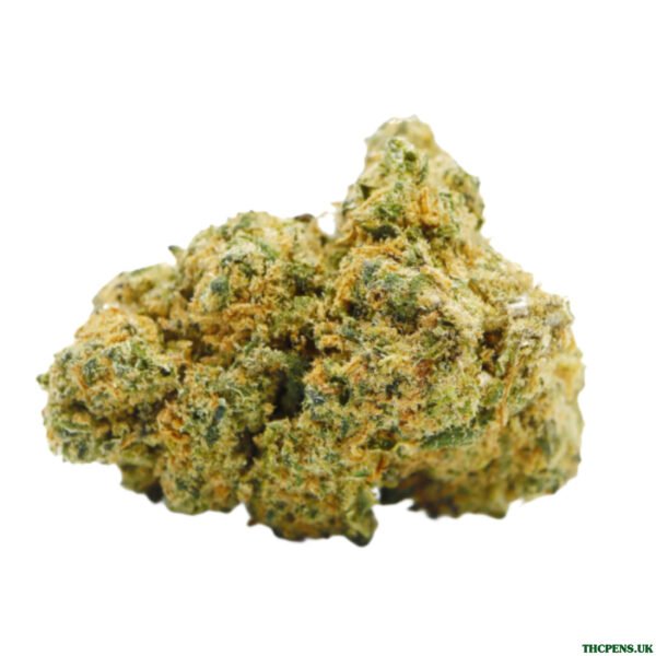 HOLLYWOOD STRAIN UK