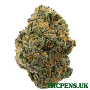 SUNSET ZKITTLEZ STRAIN UK