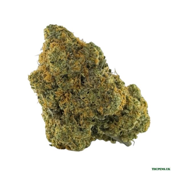 GOAT STRAIN UK