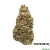 AMNESIA STRAIN UK