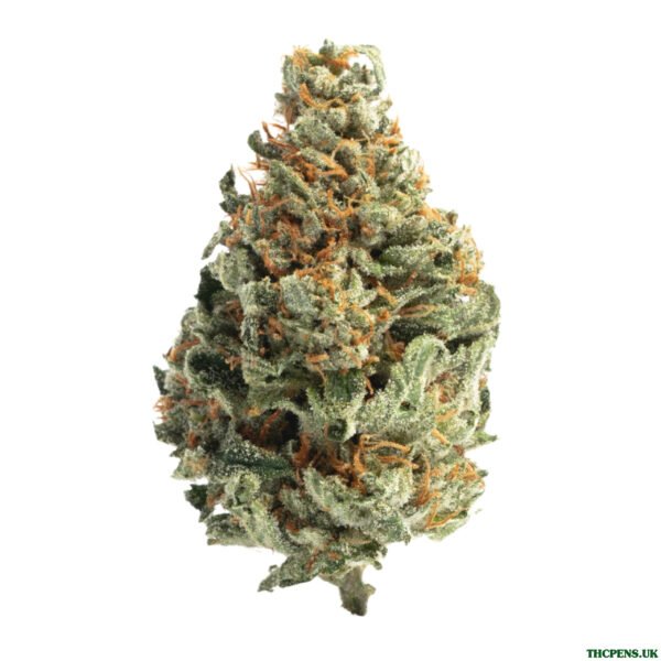 CLOUD 9 STRAIN UK