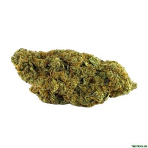 FB4FAD9F-392B-491F-ACBB-093FB9BF9366-scaled-1.jpeg GIRL SCOUT COOKIES STRAIN UK