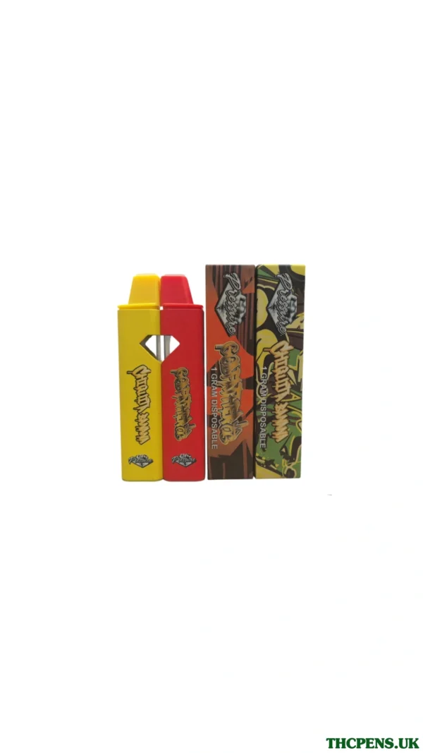 IMG_20250415_162348_231-1.webp PRESSURE DISPOSABLE UK