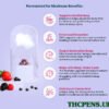 Joy-Organics-CBD-Sleep-Gummies-CBN-THC-Nighttime-Berry-Full-Spectrum-30ct-30mg-THC-90mg-CBN-900mg-CBD-2.jpg Joy Organics, CBD Sleep Gummies + CBN + THC, Nighttime Berry, Full Spectrum, 30ct, 30mg THC + 90mg CBN + 900mg CBD
