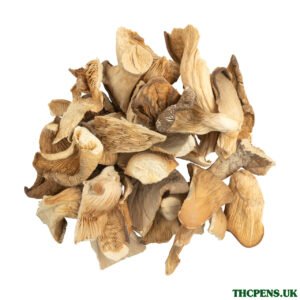 MI_391_1714201540.14__60839.jpg OYSTER DRIED MUSHROOM UK