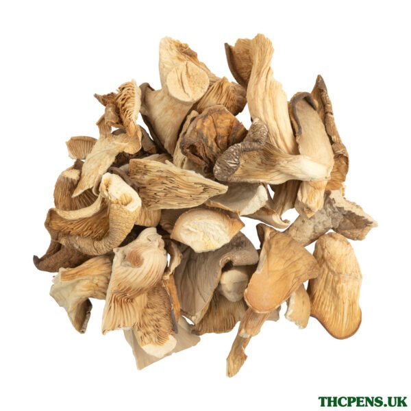 OYSTER DRIED MUSHROOM UK