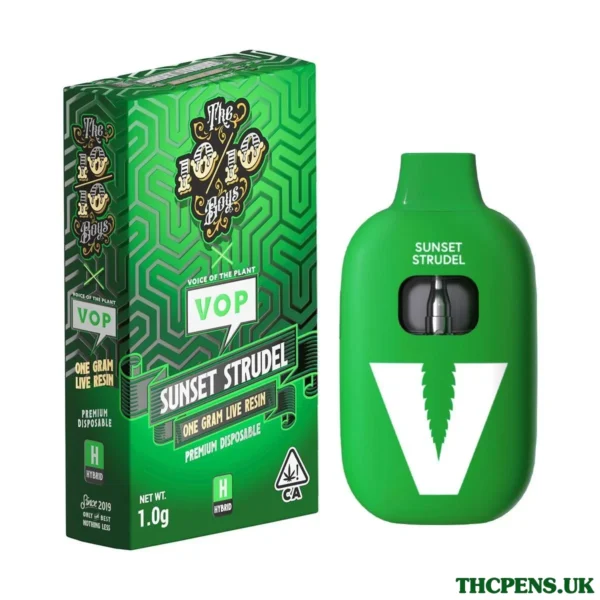 TT x VOP SUNSET STRUDEL HYBRID