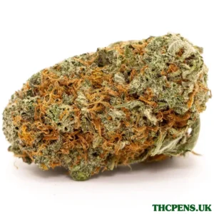 GIRL SCOUT COOKIES STRAIN UK