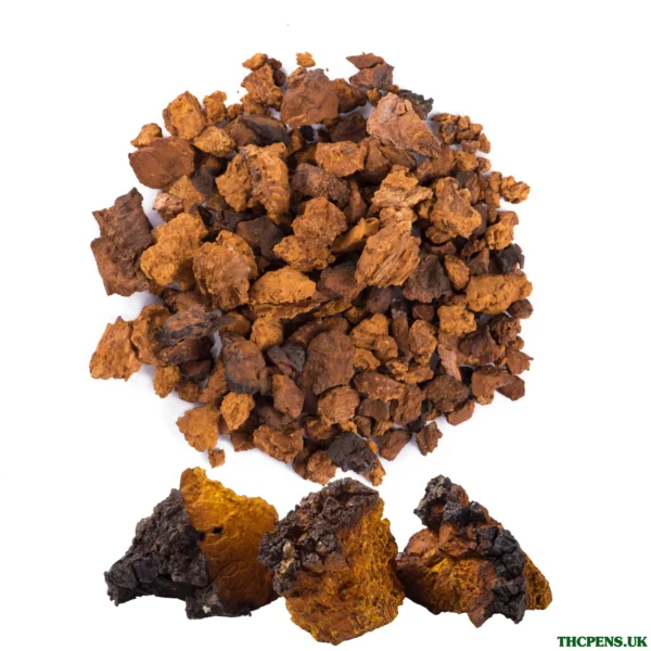 CHAGA DRIED MUSHROOM ONLINE UK
