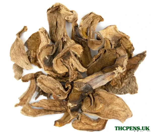 PORCINI DRIED MUSHROOM UK